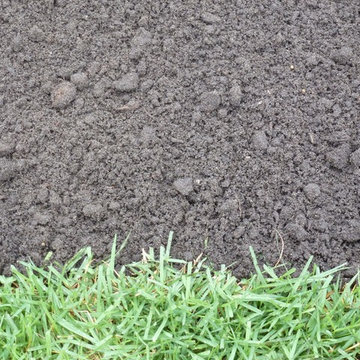 Fertile Compost