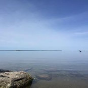 David Greene's photo