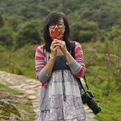 Pham Van Trangさんの写真