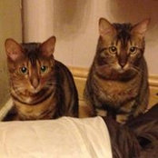 Carolyne Tivey's photo