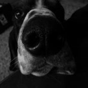 Beth Polen's photo