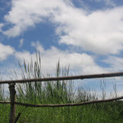 Erin Decker's photo