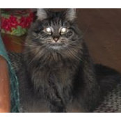 Debbie Belanger's photo