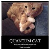 Cynthia Womack's photo