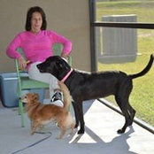 Andrea Kaufman's photo