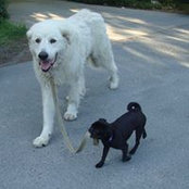 Noreen Newton's photo
