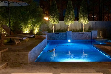 Pool - transitional pool idea in Houston