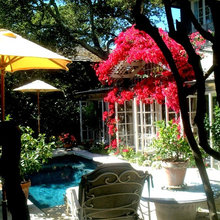 bougainville