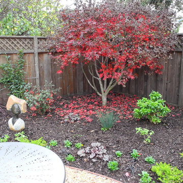 The Lawn Goodbye & Hello To A New Inviting Spaces By Kim