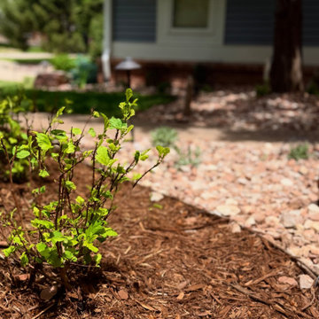 Landscape Renewal - Ken Caryl, CO
