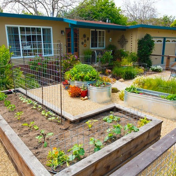 Drought 2015 gardens