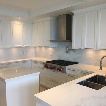 Toronto Contemporary Condo Remodel