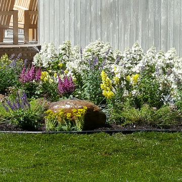 Backyard Makeover Installing Sod, Privacy Hedge, Flower Garden, Gravel Driveway