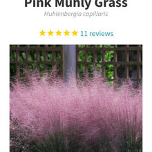 Green thumb