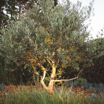 Arroyo Grande Residence