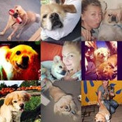 Foto di Cher Ish
