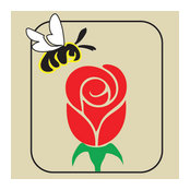 B Rose and Associates's photo