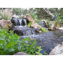 Tropical Water Gardens