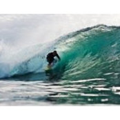 Memo Mendez's photo