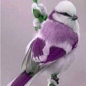 Bea Hymiak's photo