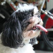 Devry Lambさんの写真