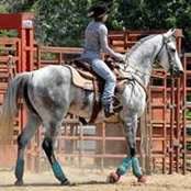 Sondra Conklin's photo