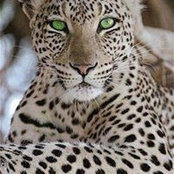 Tess Pollack's photo