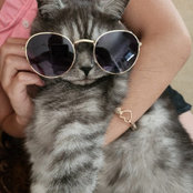 Jina Ashkar's photo