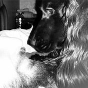 Valerio Scalia's photo