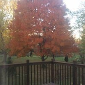 Ruby Basandrai's photo