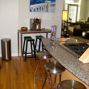 Eccentric South Loop Artist's Loft