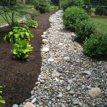 Dry-Creek Riverbed