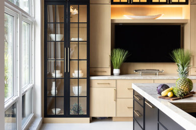 Example of a large trendy kitchen design in Other