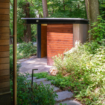 treehouse shed