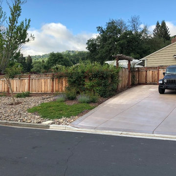 Front Yard Slow and Patient Remodel