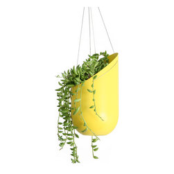 Hanging Planter-Mustard - Products