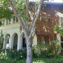 Homes for sale