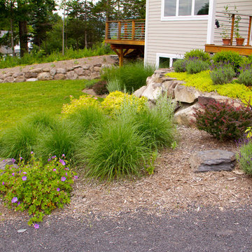 Deer Resistant Gardens