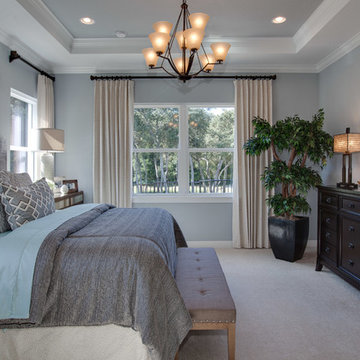 Victoria Hills Beech