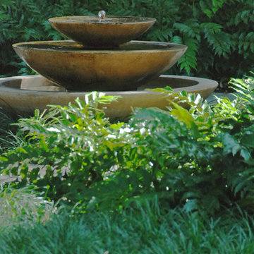 Zero Lawn Shady Garden