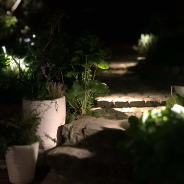 Aménagement paysager d'un jardin au coeur de Malakoff...