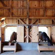 Horse Things