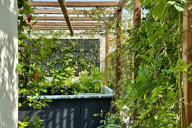 Inspiration pour une terrasse en bois minimaliste de taille moyenne avec une cuisine d'été et une pergola.