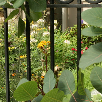 Urban Garden Spaces