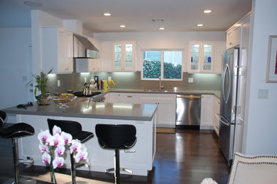 Trendy kitchen photo in Los Angeles