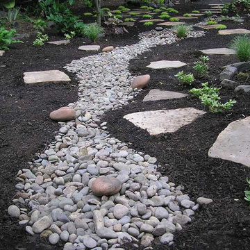 Dry creek bed