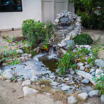 Valley Glen Whole-Home Remodel with Resort Pool & Pool House