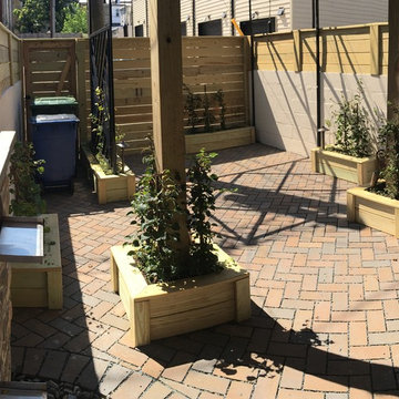 Baltimore Backyard