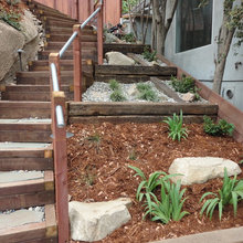 South Side Yard