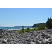 Liz Yeigh's photo